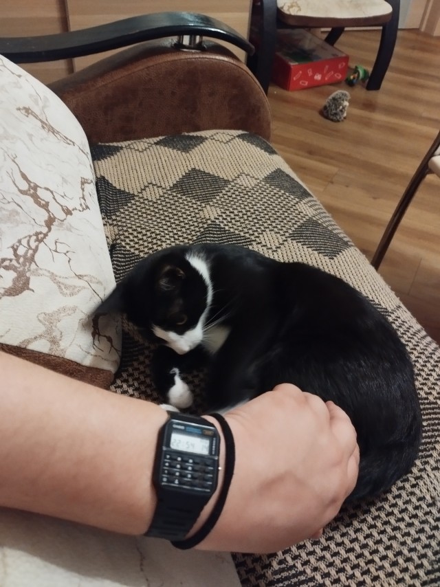 Ваши первые Casio