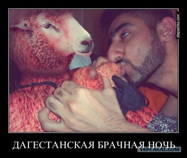 Ужесточение въезда в РФ