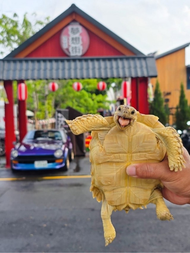 Октябрь, день десятый …