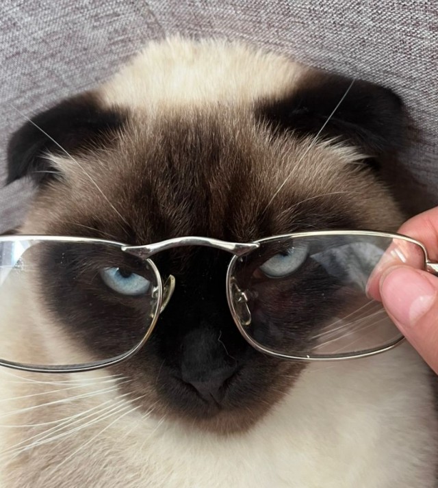 Зашел в гости