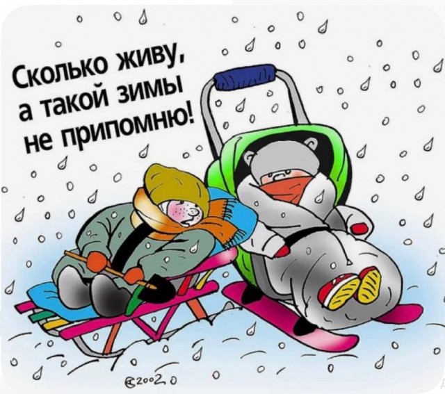 Так себе картинки 10.02.26