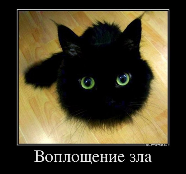 Склад баянов