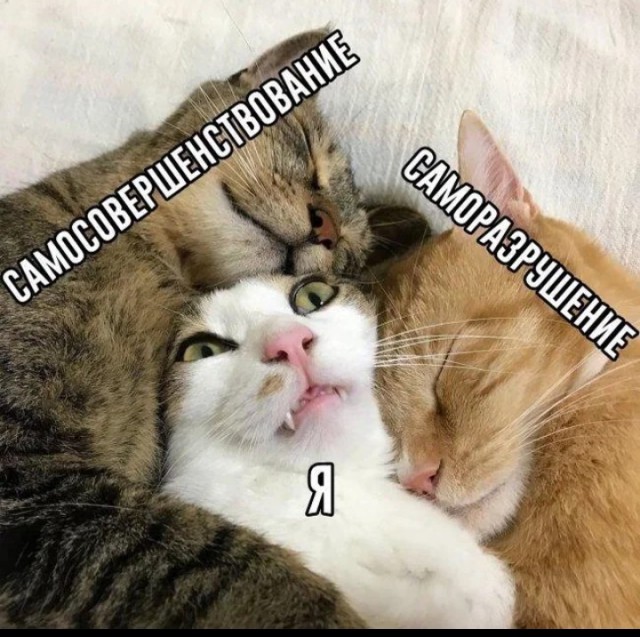 Пост о *непечатно*