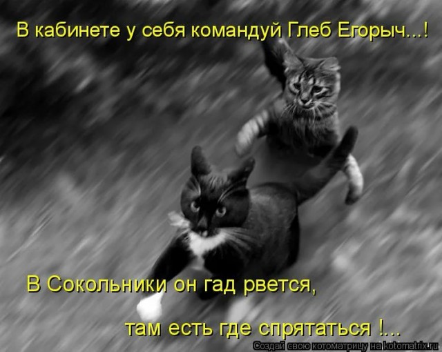 Хрен бы вы меня взяли