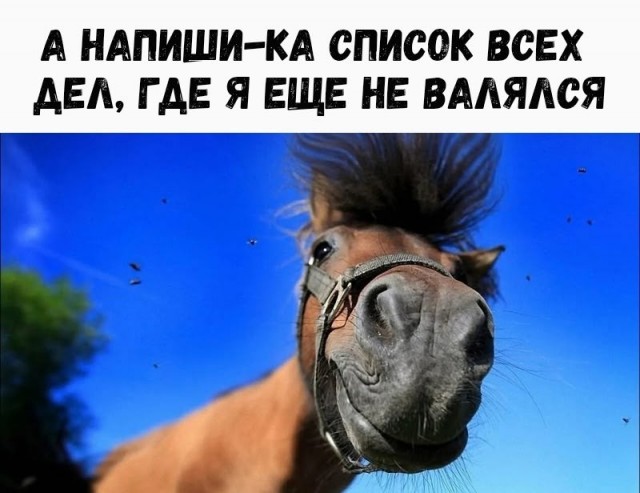 Так себе картинки 14.09.26