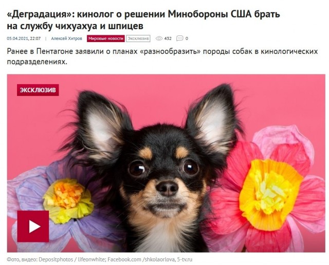 Киберзапугивание на венгерском языке и другие картинки