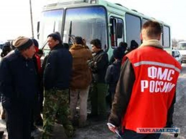 Простое решение проблемы нелегальной миграции