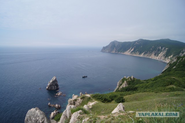 Природа Приморского края