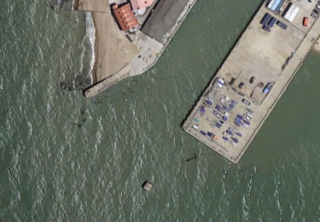 В Британской гавани засняли 15-метрового краба