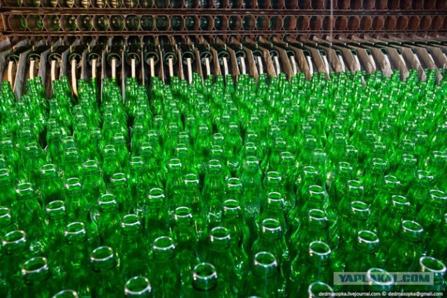 HEINEKEN Russia