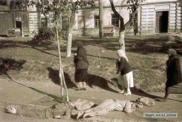 Русский солдат глазами гитлеровцев