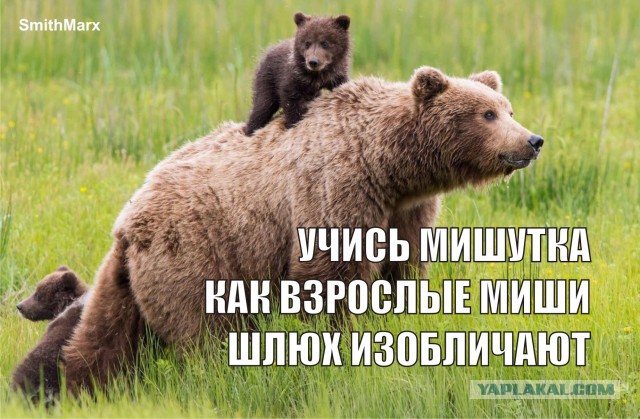 На форуме проституток...