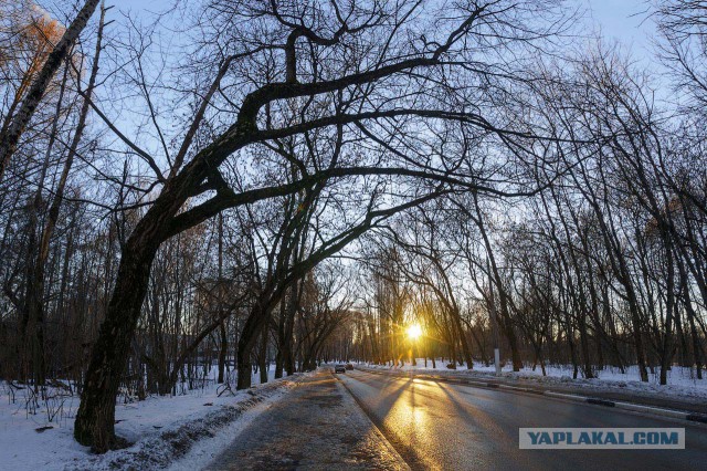 Долгопрудный (фото)