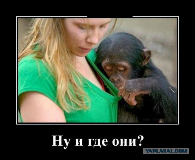 Деградации ЯПу
