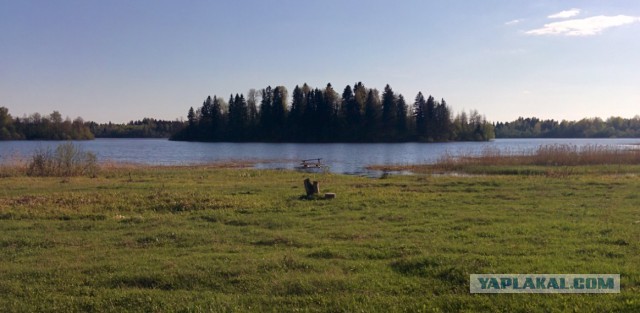 Деревня Девкино. Боровичский район Новгородской области. Фотоподборка.