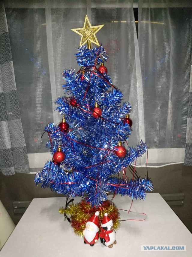 А давайте Ёлками меряться!?