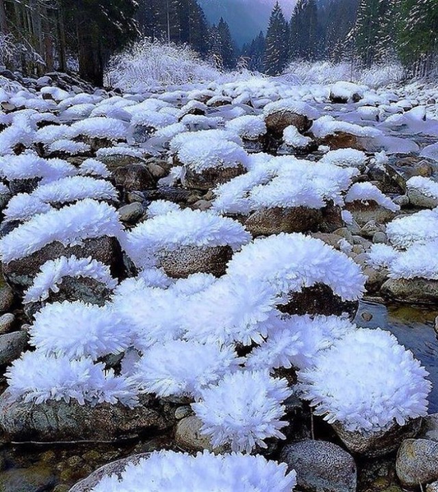 35 фотографий, которые докажут, в каком интересном мире мы живем