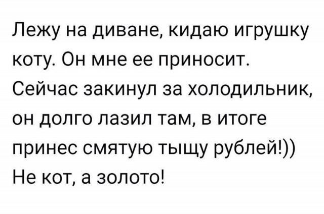 Нестандартный юмор
