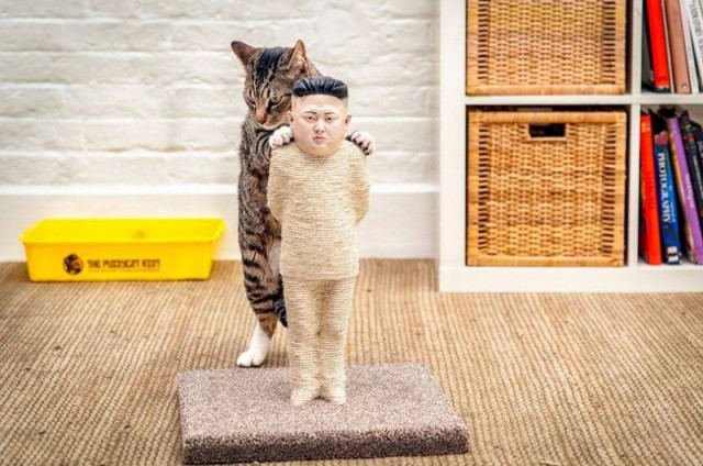 Подборка интересных и веселых картинок