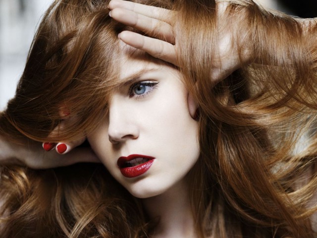 The special edition: Amy Adams