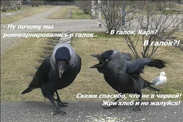Подборка интересных и веселых картинок 24.04.19