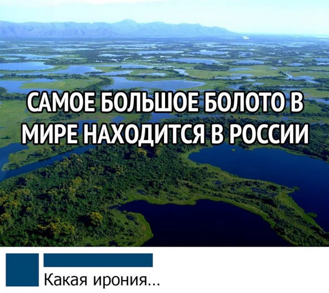 Гуляет Алиса по шахматным клеткам, или шоколадка за нольпятку
