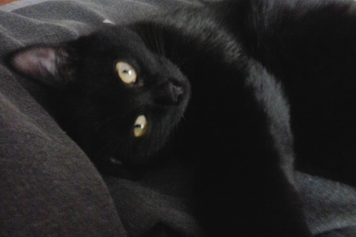 Paзнoвиднocти тьмы