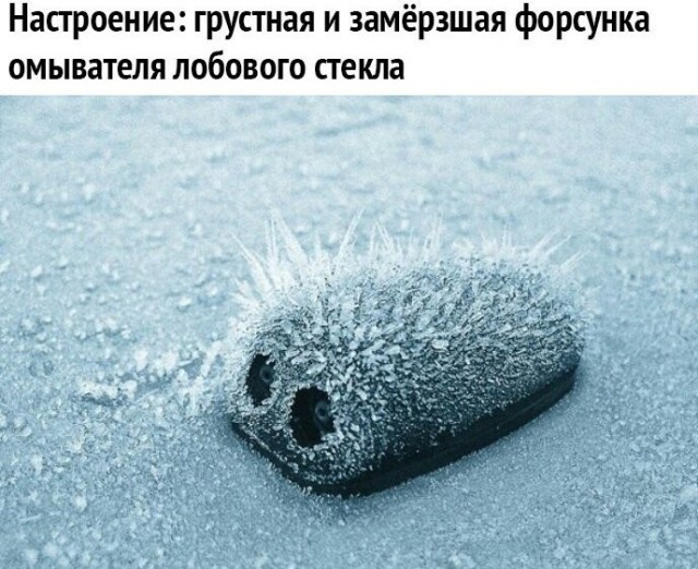 Картинок пост