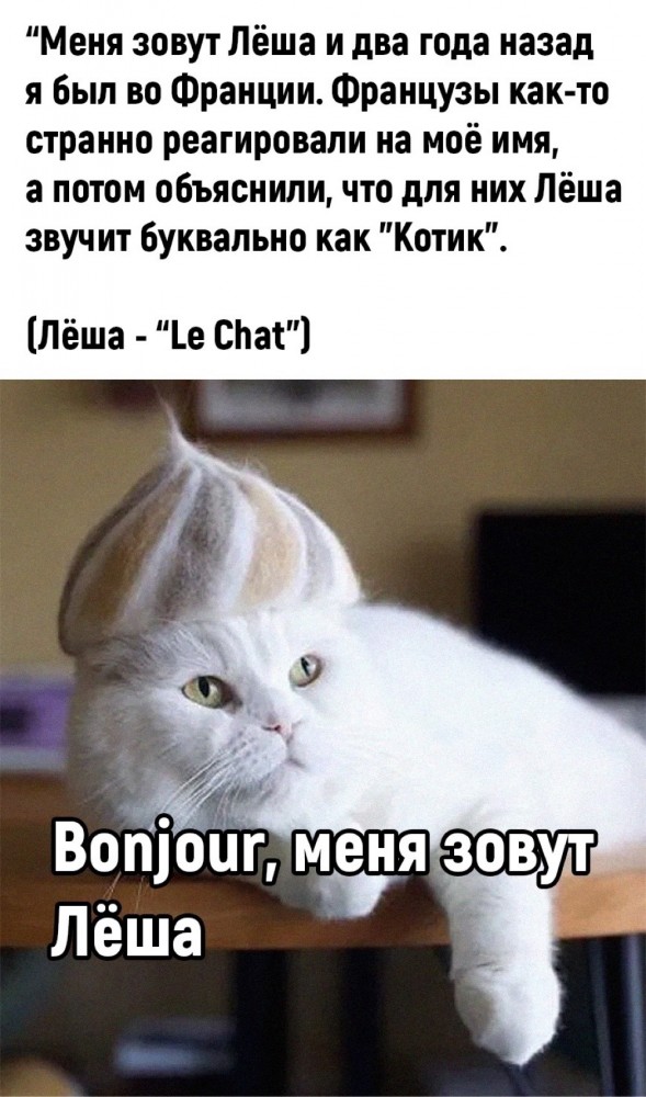 Пазл