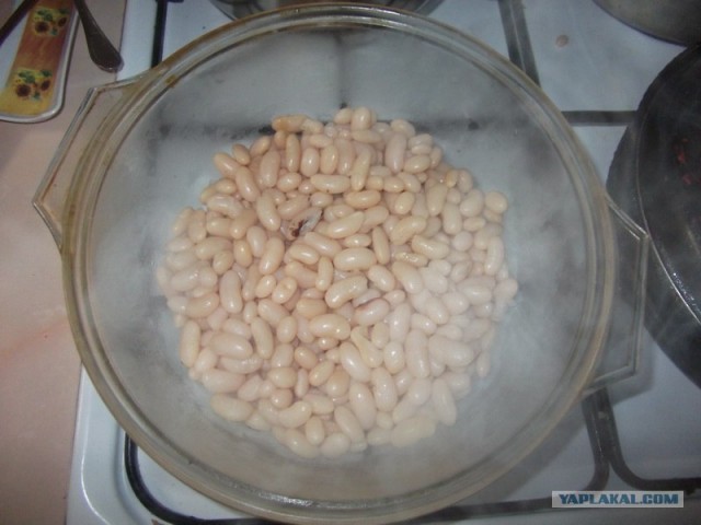 Фасоль – International, Или «Веселые нотки»