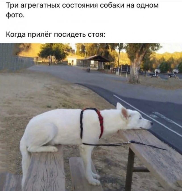 Так себе картинки 11.11.21