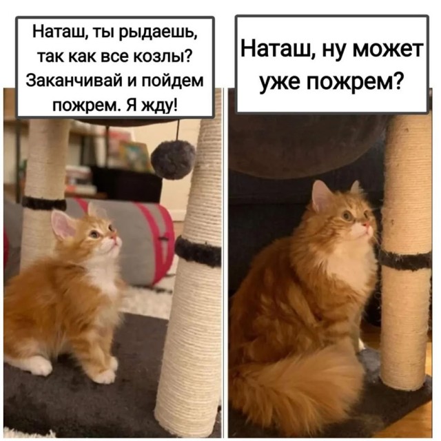 Немного картинок и прочей хреноты Vol. 14