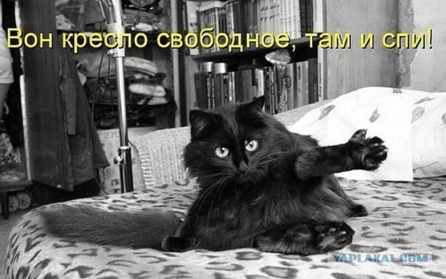 Виды хоба