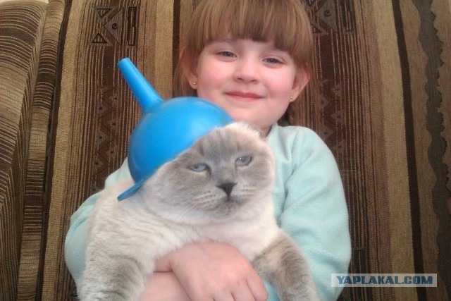 Хана жирдяю!