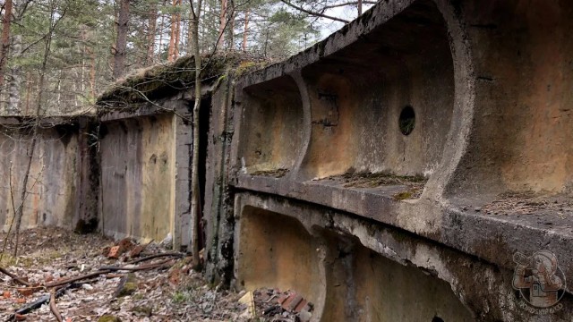 Заброшенный полигон высоковольтных испытаний: загадочные находки в лесу оставшиеся со времен СССР
