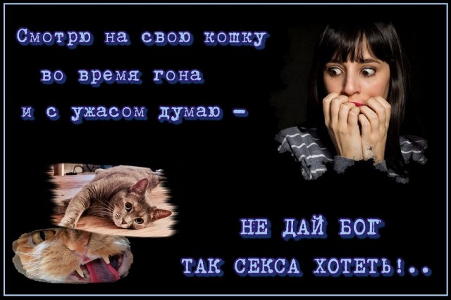 Тупые самцы совсем намеков не понимают
