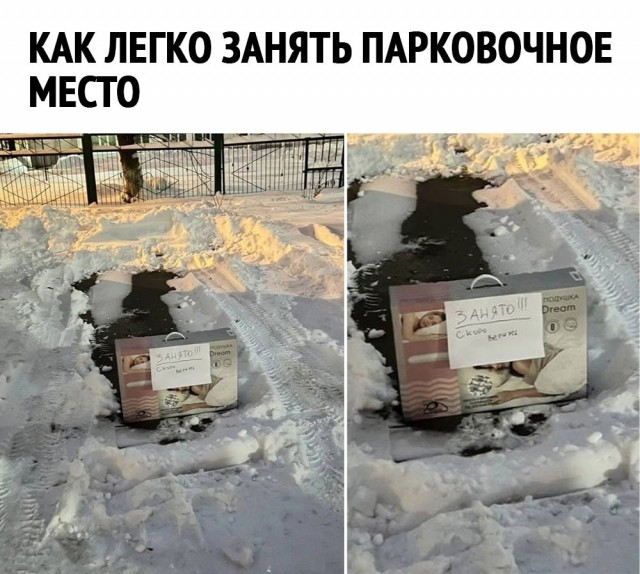 Так себе картинки 26.01.23