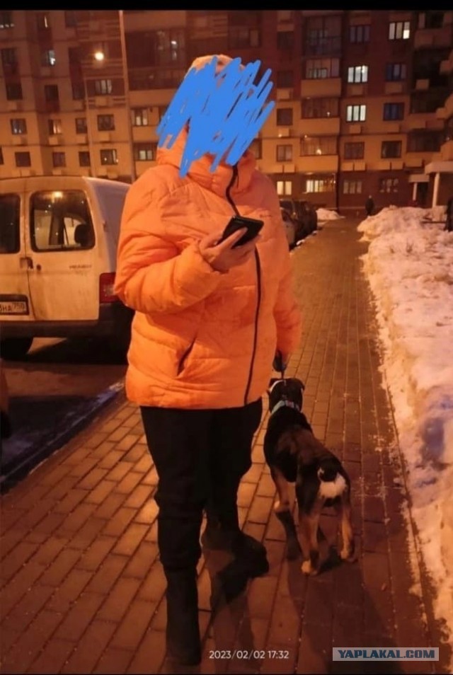 В Подмосковье собака напала на детей: