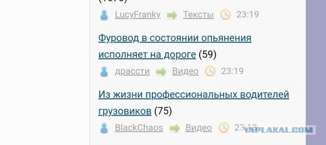 Фуровод в состоянии опьянения исполняет на дороге