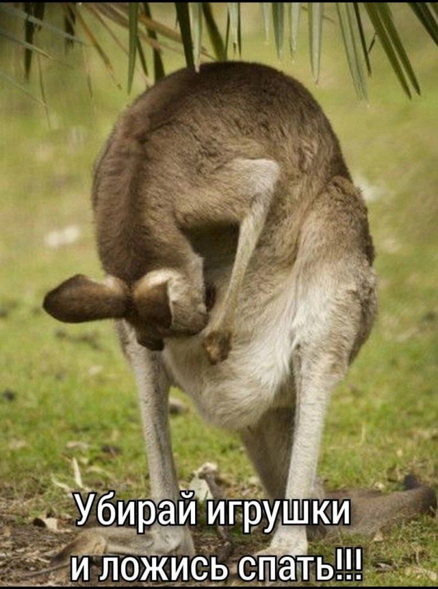 Победная поступь идиотизма по планете – том 10