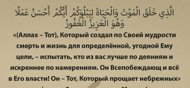 Христианский крест в  Геркулануме? Загадки истории с Лысым Камрадом