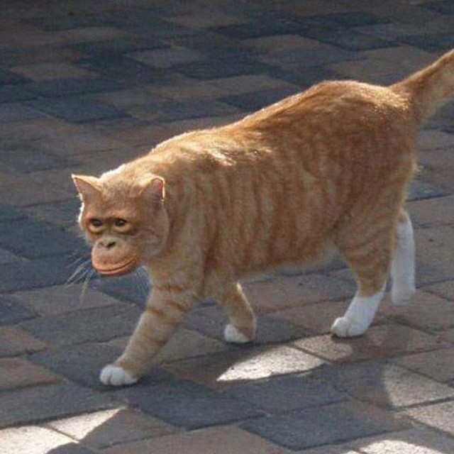 Весёлый полтишок 30.04.23