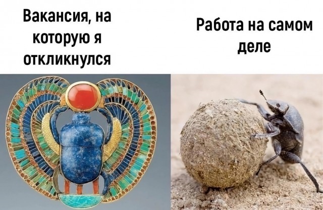Так себе картинки 14.06.23