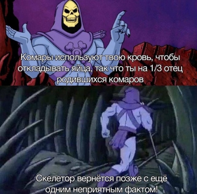 Всего понемногу. От 31.07.23