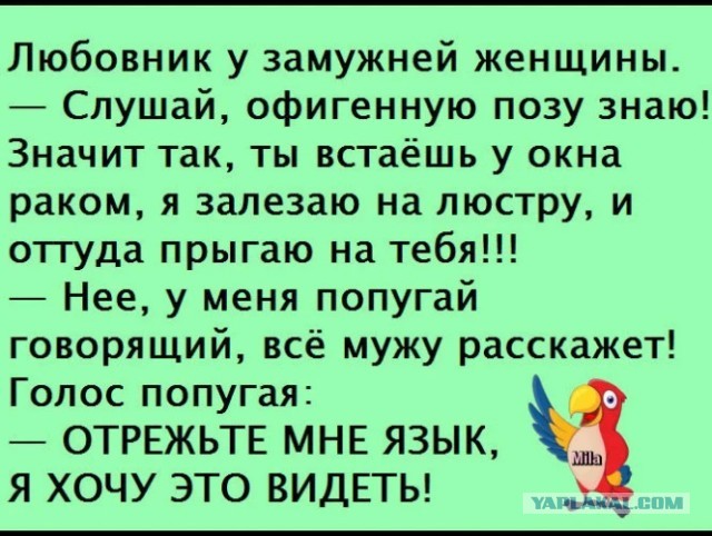 Спалил хозяйку
