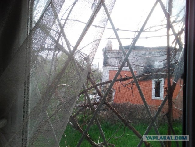 Осень в СНТ