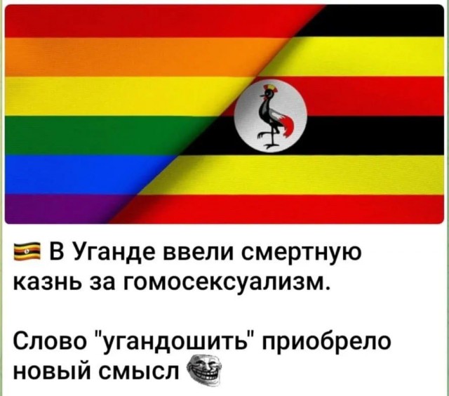 Весёлый полтишок 22.11.24