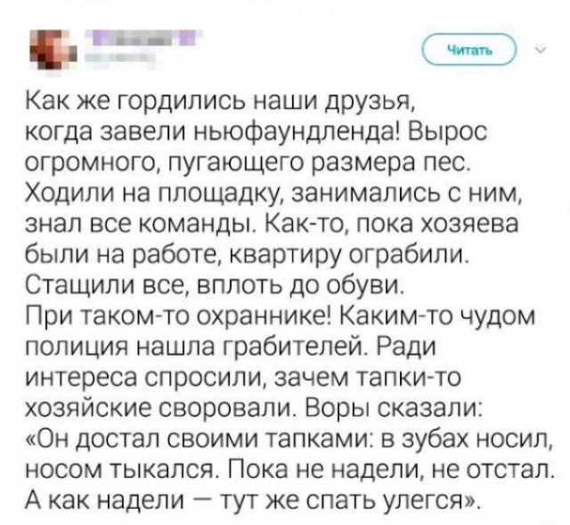 Так себе картинки 19.02.25