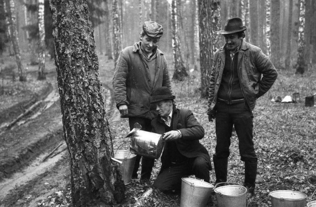 Фотографии из прошлого нашей страны – 95