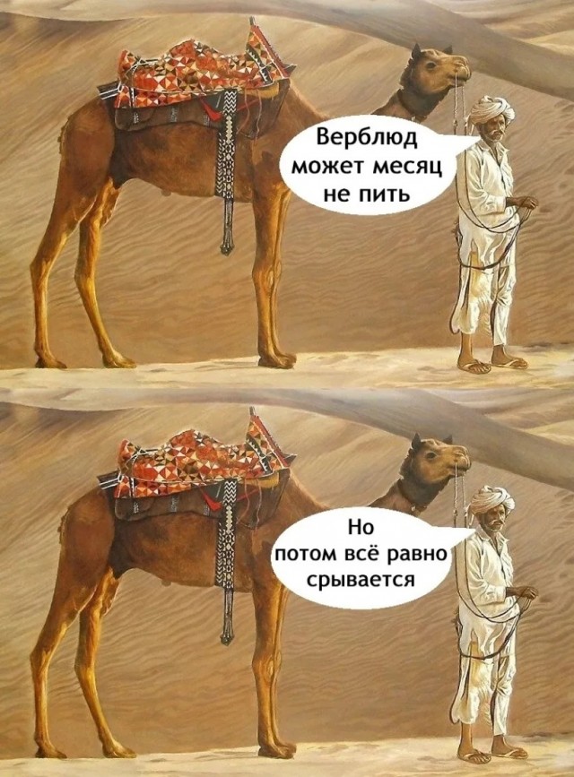 Завалялось тут случайно немного забавных картинок